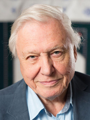 Sir David Attenborough - Natural Historian