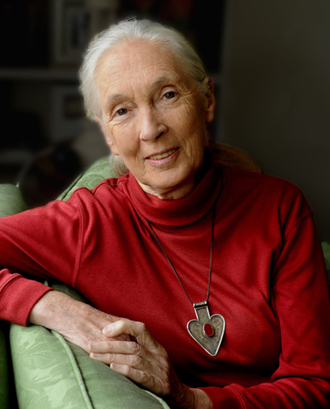 Jane Goodall